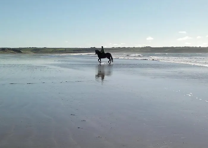 Glenart House Bed & Breakfast 3*